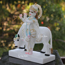 Go Gopal Murti | 15 Inch