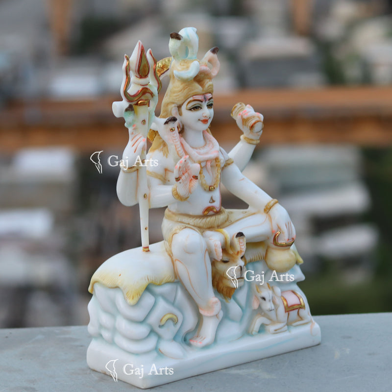 Shiva 12"