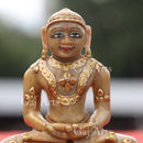 Jain Idol 5”