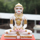 Jain Idol 15”