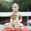 Jain Idol 15”