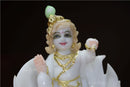 Bal Gopal 9”
