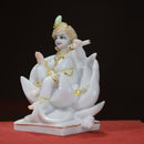 Bal Gopal 9”