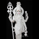 Ardhanarishvara 42”