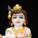 Bal Gopal 8”