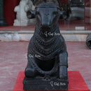 Nandi 30”