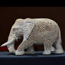 Elephant Jali 9”