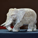 Elephant Jali 9”