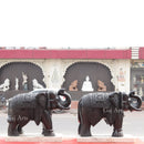 Black Elephant 24”