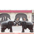 Black Elephant 24”