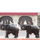 Black Elephant 24”