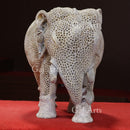 Elephant Jali 12”