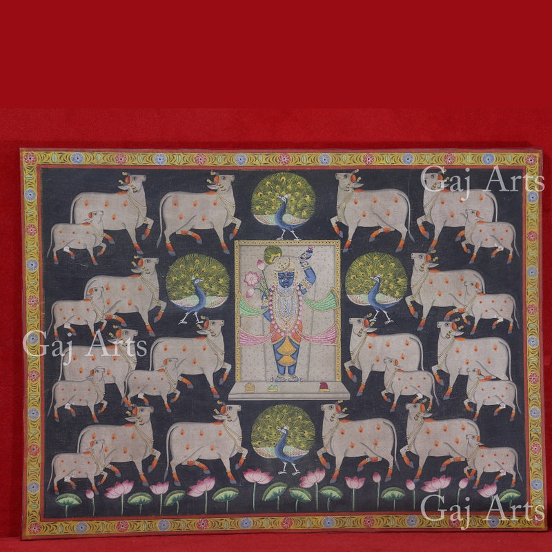 Shrinathji with cows & Peacocks Pichwai 36”