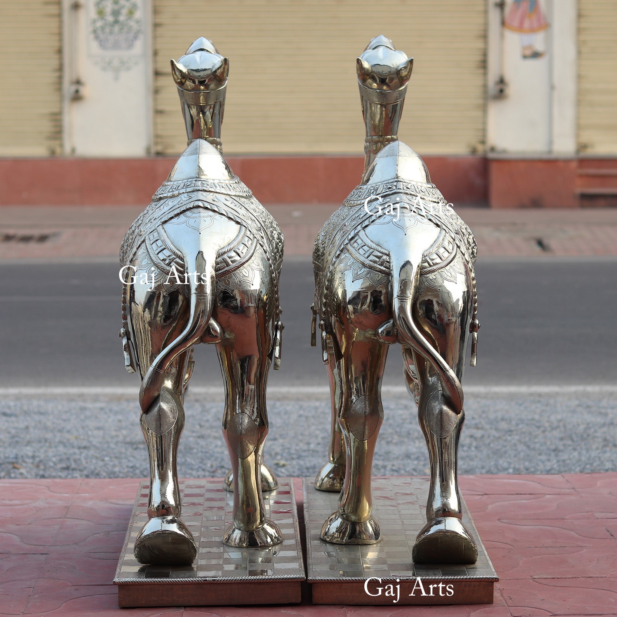 Silver Camel 42”
