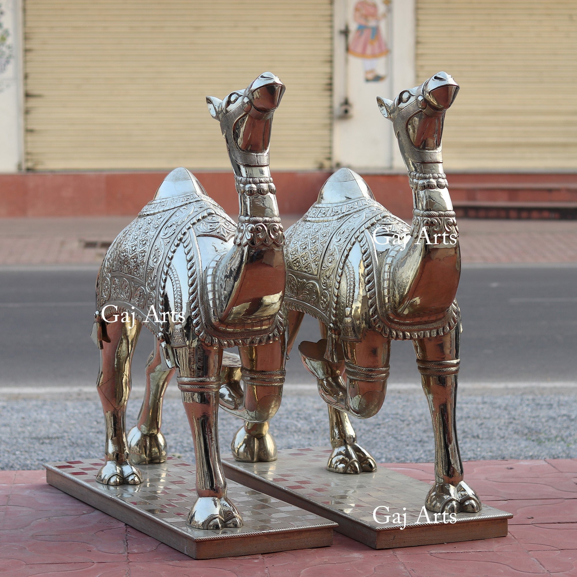 Silver Camel 42”
