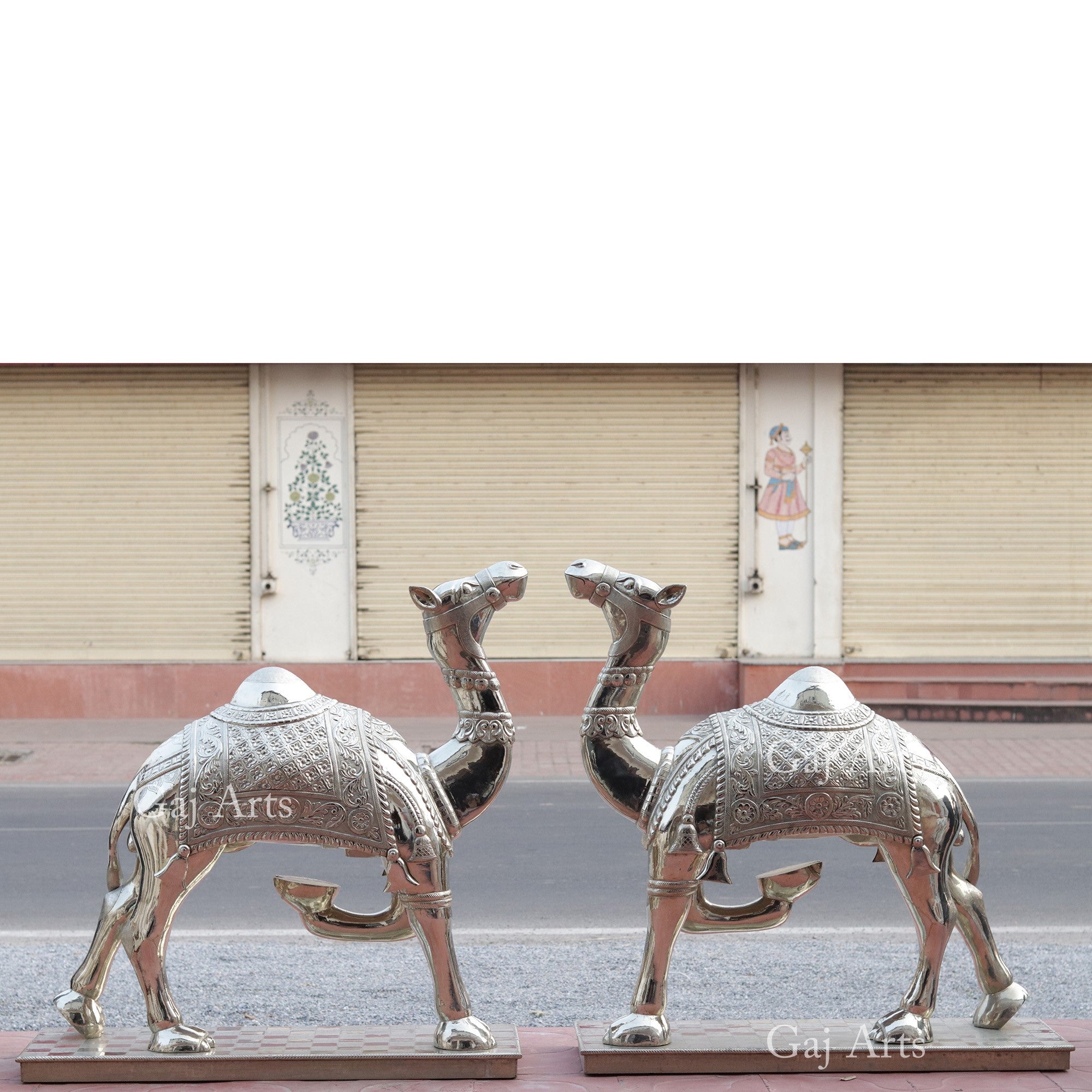 Silver Camel 42”