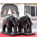 Black Elephant 24”