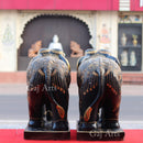 Black Elephant 24”