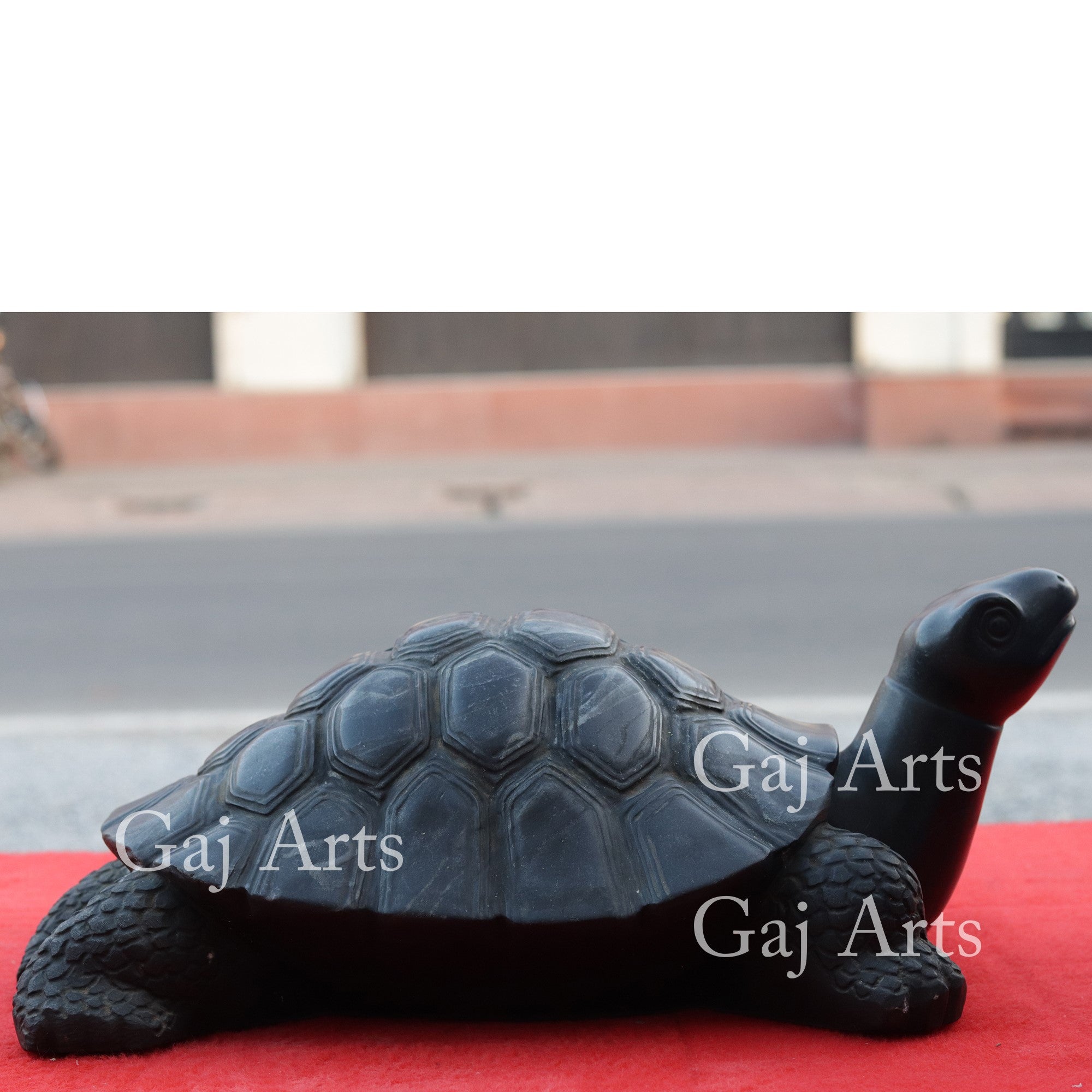 Rajasthan Black Marble Kachua Tortoise Statue | 18 Inch