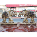 White Elephant 24”