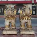 White Elephant 24”